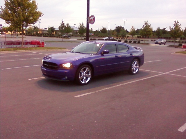 plum1217.jpg