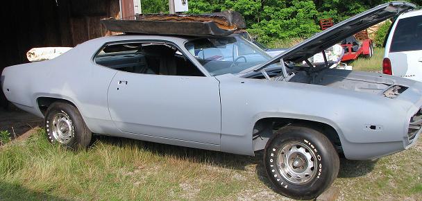 1972 Roadrunner begging 011.JPG