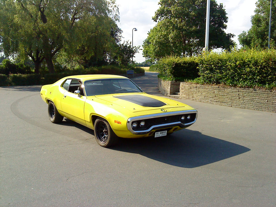 Roadrunner_2010_D.jpg