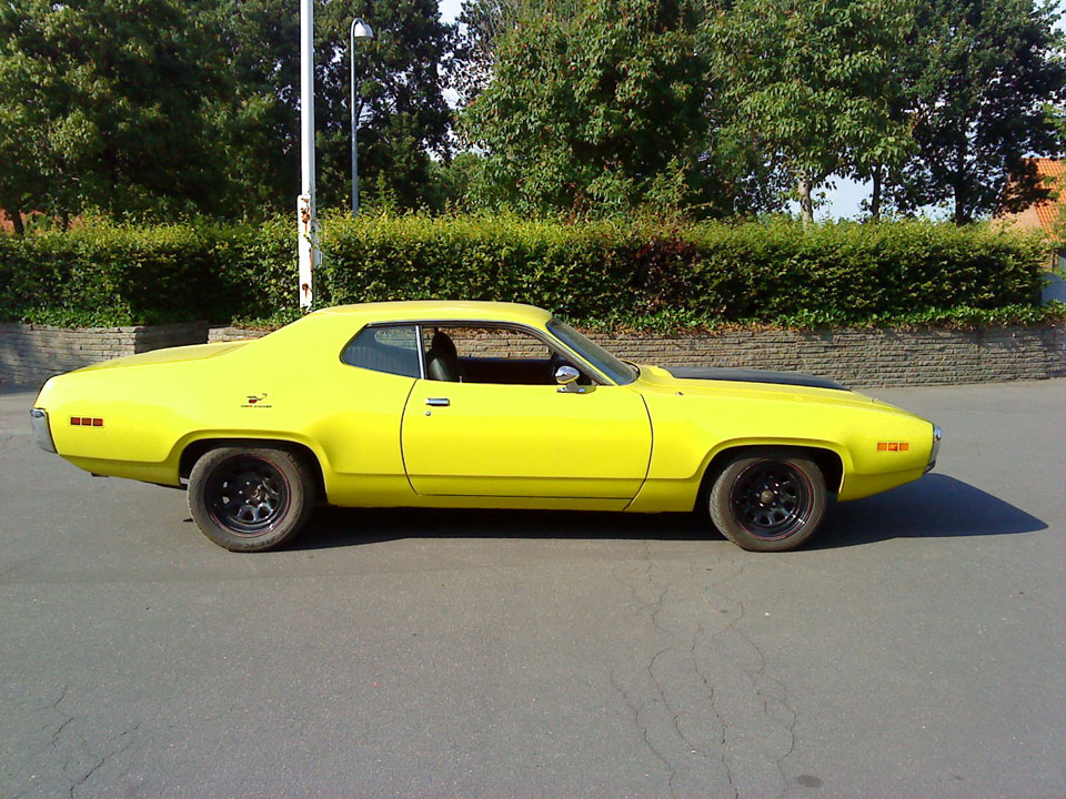 Roadrunner_2010_E.jpg
