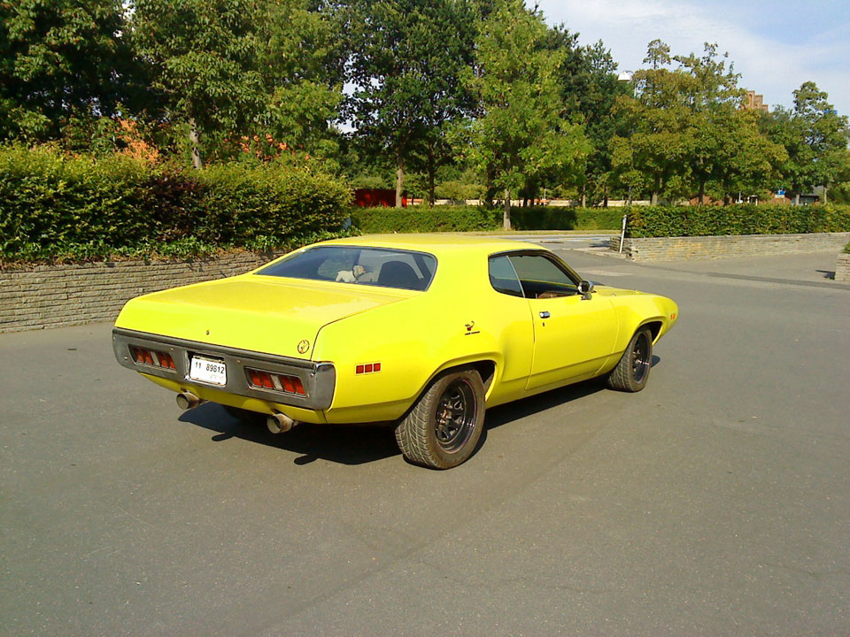 Roadrunner_2010_F.jpg