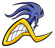 ist1_11300213-roadrunner.jpg