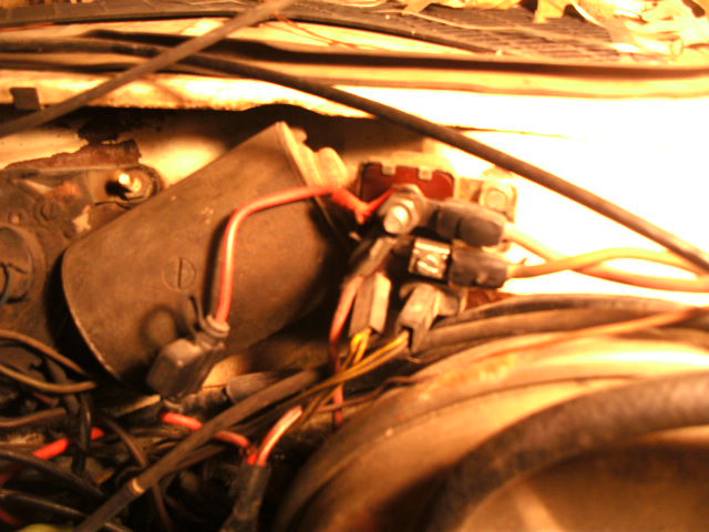 SANY3258.JPG