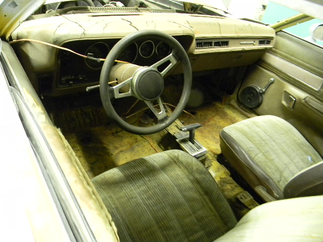 DSCN0787.JPG