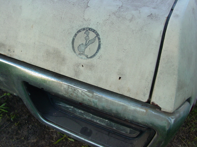 DSC03947.JPG