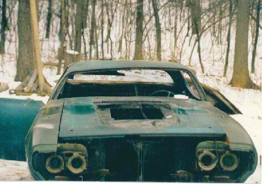 4272430012_large.jpg
