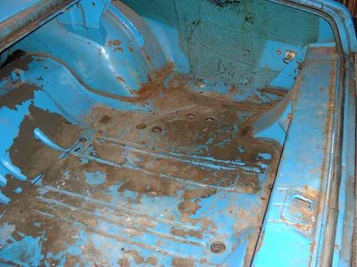 trunk3.JPG