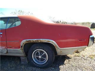 roadrunner01.jpg