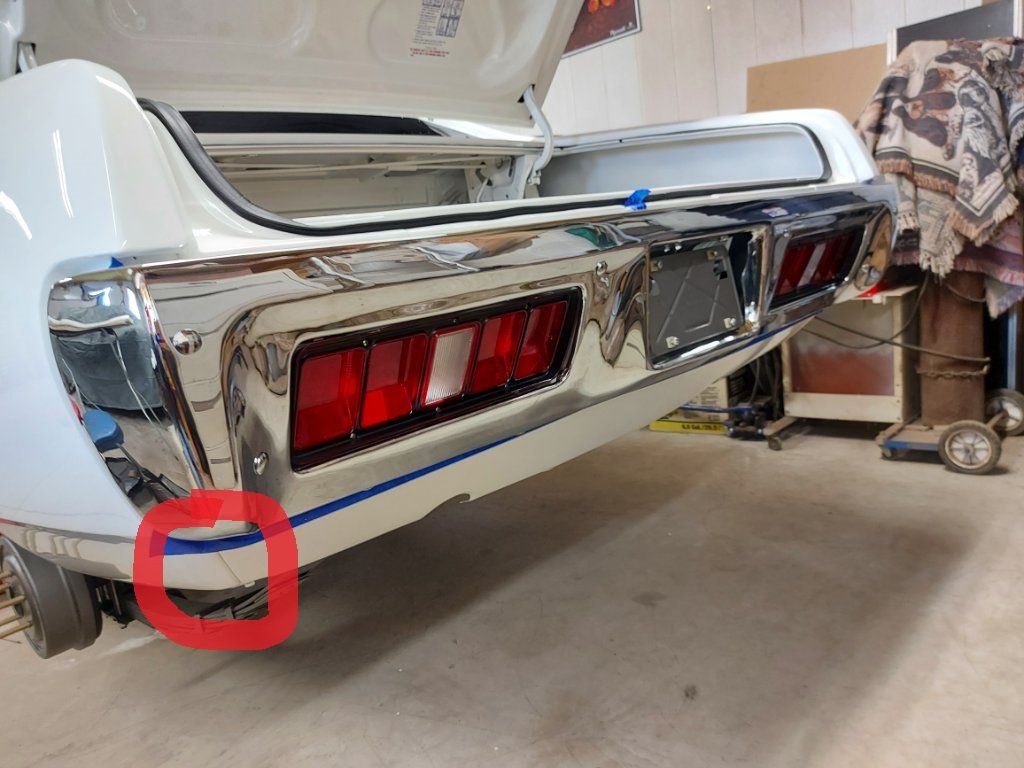 Road Runner Nest Rear Valance.jpg