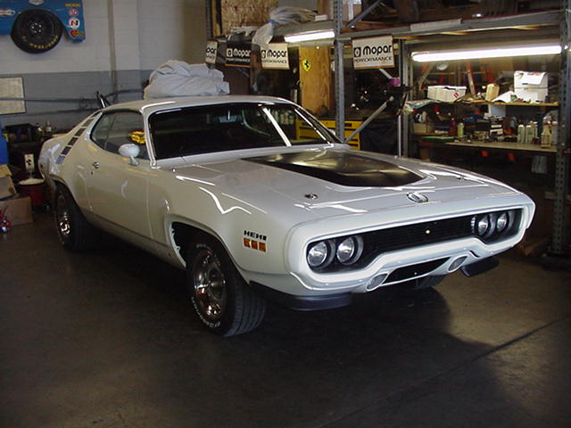 white roadrunner.jpg