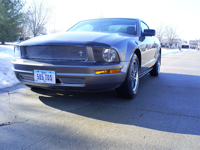 mymustang_Layer 1.jpg
