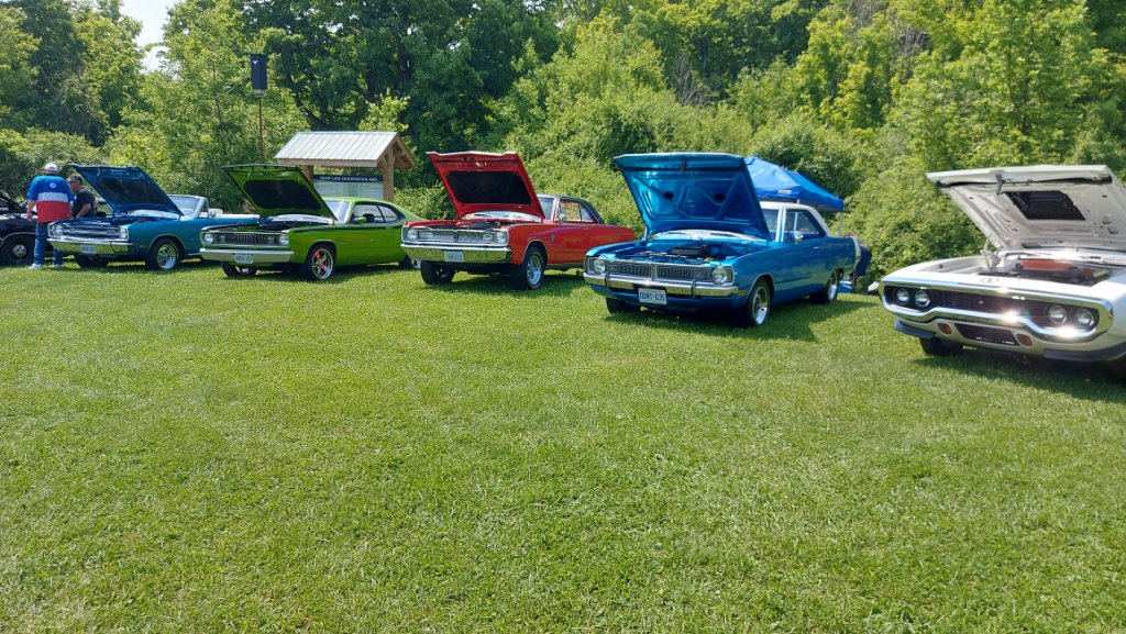 20250607_120331.jpg