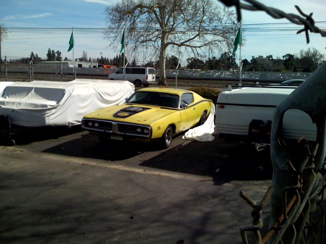 SuperBee.jpg