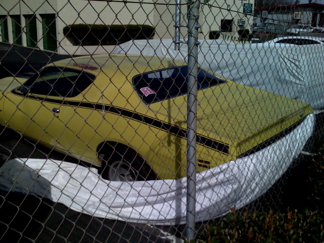 SuperBee1.jpg