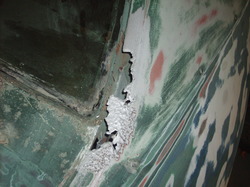 2508363_47.jpg